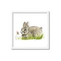 Picture of Bunny in grass _GroupedProduct_Square_Mini_ _GroupedProduct_Square_Framed_Matted_