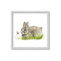 Picture of Bunny in grass _GroupedProduct_Square_Mini_ _GroupedProduct_Square_Framed_Matted_