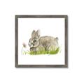 Picture of Bunny in grass _GroupedProduct_Square_Mini_ _GroupedProduct_Square_Framed_Matted_