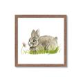 Picture of Bunny in grass _GroupedProduct_Square_Mini_ _GroupedProduct_Square_Framed_Matted_