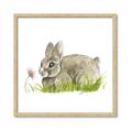 Picture of Bunny in grass _GroupedProduct_Square_Mini_ _GroupedProduct_Square_Framed_Matted_