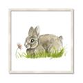 Picture of Bunny in grass _GroupedProduct_Square_Mini_ _GroupedProduct_Square_Framed_Matted_