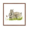 Picture of Bunny in grass _GroupedProduct_Square_Mini_ _GroupedProduct_Square_Framed_Matted_