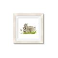 Picture of Bunny in grass _GroupedProduct_Square_Mini_ _GroupedProduct_Square_Framed_Matted_