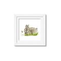 Picture of Bunny in grass _GroupedProduct_Square_Mini_ _GroupedProduct_Square_Framed_Matted_