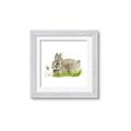 Picture of Bunny in grass _GroupedProduct_Square_Mini_ _GroupedProduct_Square_Framed_Matted_