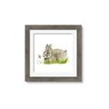 Picture of Bunny in grass _GroupedProduct_Square_Mini_ _GroupedProduct_Square_Framed_Matted_