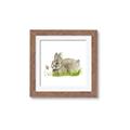 Picture of Bunny in grass _GroupedProduct_Square_Mini_ _GroupedProduct_Square_Framed_Matted_