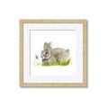 Picture of Bunny in grass _GroupedProduct_Square_Mini_ _GroupedProduct_Square_Framed_Matted_