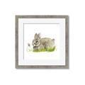 Picture of Bunny in grass _GroupedProduct_Square_Mini_ _GroupedProduct_Square_Framed_Matted_