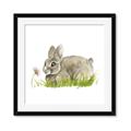 Picture of Bunny in grass _GroupedProduct_Square_Mini_ _GroupedProduct_Square_Framed_Matted_