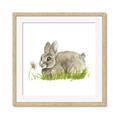 Picture of Bunny in grass _GroupedProduct_Square_Mini_ _GroupedProduct_Square_Framed_Matted_