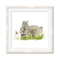 Picture of Bunny in grass _GroupedProduct_Square_Mini_ _GroupedProduct_Square_Framed_Matted_