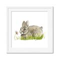 Picture of Bunny in grass _GroupedProduct_Square_Mini_ _GroupedProduct_Square_Framed_Matted_