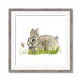 Picture of Bunny in grass _GroupedProduct_Square_Mini_ _GroupedProduct_Square_Framed_Matted_
