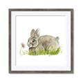 Picture of Bunny in grass _GroupedProduct_Square_Mini_ _GroupedProduct_Square_Framed_Matted_