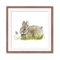 Picture of Bunny in grass _GroupedProduct_Square_Mini_ _GroupedProduct_Square_Framed_Matted_