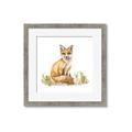 Picture of Fox in grass _GroupedProduct_Square_Mini_ _GroupedProduct_Square_Framed_Matted_
