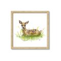 Picture of Deer in grass _GroupedProduct_Square_Mini_ _GroupedProduct_Square_Framed_Matted_