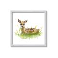 Picture of Deer in grass _GroupedProduct_Square_Mini_ _GroupedProduct_Square_Framed_Matted_
