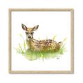 Picture of Deer in grass _GroupedProduct_Square_Mini_ _GroupedProduct_Square_Framed_Matted_