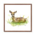 Picture of Deer in grass _GroupedProduct_Square_Mini_ _GroupedProduct_Square_Framed_Matted_