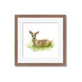 Picture of Deer in grass _GroupedProduct_Square_Mini_ _GroupedProduct_Square_Framed_Matted_