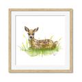 Picture of Deer in grass _GroupedProduct_Square_Mini_ _GroupedProduct_Square_Framed_Matted_