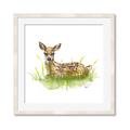Picture of Deer in grass _GroupedProduct_Square_Mini_ _GroupedProduct_Square_Framed_Matted_