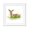 Picture of Deer in grass _GroupedProduct_Square_Mini_ _GroupedProduct_Square_Framed_Matted_