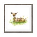 Picture of Deer in grass _GroupedProduct_Square_Mini_ _GroupedProduct_Square_Framed_Matted_