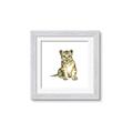 Picture of Little Lion _GroupedProduct_Square_Mini_ _GroupedProduct_Square_Framed_Matted_
