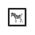 Picture of Little Zebra _GroupedProduct_Square_Mini_ _GroupedProduct_Square_Framed_Matted_
