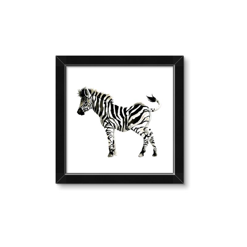 Picture of Little Zebra _GroupedProduct_Square_Mini_ _GroupedProduct_Square_Framed_Matted_