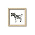 Picture of Little Zebra _GroupedProduct_Square_Mini_ _GroupedProduct_Square_Framed_Matted_