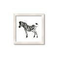 Picture of Little Zebra _GroupedProduct_Square_Mini_ _GroupedProduct_Square_Framed_Matted_