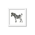 Picture of Little Zebra _GroupedProduct_Square_Mini_ _GroupedProduct_Square_Framed_Matted_