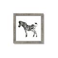 Picture of Little Zebra _GroupedProduct_Square_Mini_ _GroupedProduct_Square_Framed_Matted_