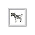 Picture of Little Zebra _GroupedProduct_Square_Mini_ _GroupedProduct_Square_Framed_Matted_