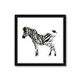 Picture of Little Zebra _GroupedProduct_Square_Mini_ _GroupedProduct_Square_Framed_Matted_