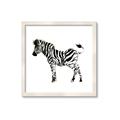 Picture of Little Zebra _GroupedProduct_Square_Mini_ _GroupedProduct_Square_Framed_Matted_