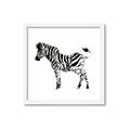 Picture of Little Zebra _GroupedProduct_Square_Mini_ _GroupedProduct_Square_Framed_Matted_