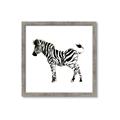 Picture of Little Zebra _GroupedProduct_Square_Mini_ _GroupedProduct_Square_Framed_Matted_