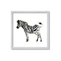 Picture of Little Zebra _GroupedProduct_Square_Mini_ _GroupedProduct_Square_Framed_Matted_