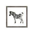 Picture of Little Zebra _GroupedProduct_Square_Mini_ _GroupedProduct_Square_Framed_Matted_