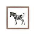 Picture of Little Zebra _GroupedProduct_Square_Mini_ _GroupedProduct_Square_Framed_Matted_