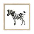 Picture of Little Zebra _GroupedProduct_Square_Mini_ _GroupedProduct_Square_Framed_Matted_