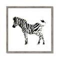 Picture of Little Zebra _GroupedProduct_Square_Mini_ _GroupedProduct_Square_Framed_Matted_