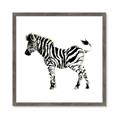 Picture of Little Zebra _GroupedProduct_Square_Mini_ _GroupedProduct_Square_Framed_Matted_