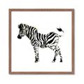 Picture of Little Zebra _GroupedProduct_Square_Mini_ _GroupedProduct_Square_Framed_Matted_